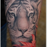 Tatuaje en el brazo, cara de tigre blanco y flor delicada