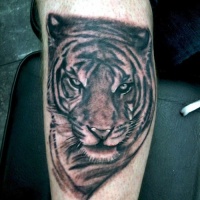 Wild tiger face tattoo for man