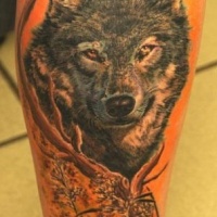 Tatuaje en la pierna, lobo agazapado detrás de un árbol