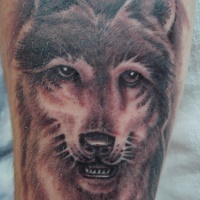 Tatuaggio carino sul deltoide la faccia del lupo