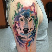 Tatuaje en el brazo, lobo con la mirada fija