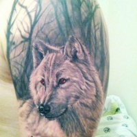 Tatuaje en el brazo,
lobo realista con ojos rojos en el bosque