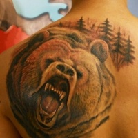 Wunderbarer bunter Kopf eines brüllenden Bären Tattoo am Rücken
