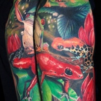 Wonderful coloured frogs tattoo on half sleeve tattoo