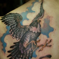 Wonderful detailed falcon tattoo on back