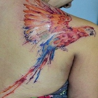 Wunderbarer fliegender mehrfarbiger Papagei Tattoo am Schulterblatt im Aquarell Stil