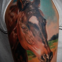 Wonderful horse head tattoo on half sleeve