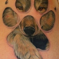 eccezionale dipinto carino ritratto  piccolo lupo da sotto pelle  tatuaggio su spalla