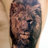 Wunderbarer realistischer Löwe Tattoo am Arm