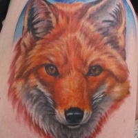 Wonderful red fox tattoo by Jakub Nadrowski