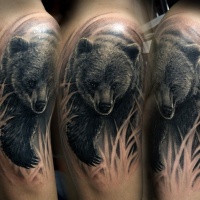 Tatuaje en el brazo,
oso negro en la hierba