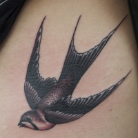 Tatuaje  de golondrina de colores negro y gris