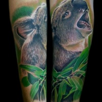 Wonderful very detailed arm tattoo of lifelike koala bear with leaves
