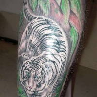 Wonderful very detailed beautiful leg tattoo of white tiger in jungle