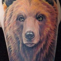 Tatuaje en el brazo,
cabeza de oso pardo