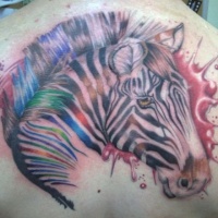 Wonderful watercolor portrait of zebra tattoo on back by flicka