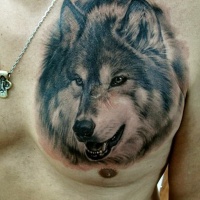 Wunderschönes Tattoo von Wolfskopf auf der männlichen Brust