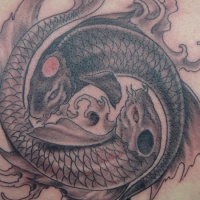 Tatuaggio colorato i koi in stile Yin-Yang