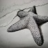 3D dotwork-style starfish lying on beach tattoo design