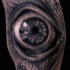 Tatuaggio bellissimo 3D l'occhio & gli insetti
