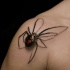 3d realistic spider tattoo on shoulder