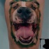 3D style Tattoo auf den Bizeps mit einem lustigen Hund (Rasse Boxer)