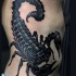 Tatuaje en el costado,  escorpión enorme negro increíble