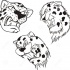 Agressive cartoon outline cheetah heads tattoo design