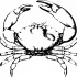 Amazing black-and-white crab tattoo design