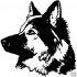 Amazing black-and-white german shepherd head tattoo design