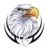 American eagle head in black tribal frame tattoo design