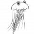 Amuse cartoon outline jellyfish with big lovely eyes tattoo design