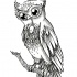 Amuse uncolored owl keeping a mouse tattoo design