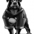 Angry grey cartoon rottweiler in football T-shirt tattoo design
