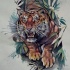 Angry tiger looking out of jungles tattoo design