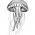 Attractive dotwork jellyfish tattoo design