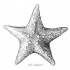 Attractive grey-ink starfish with light print tattoo design