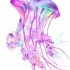Attractive rosy watercolor jellyfish tattoo design