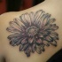 Tatuaje en el hombro, margarita linda de colores negro y blanco
