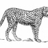 Awesome black-and-white standing cheetah tattoo design