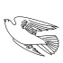 Awesome black-line rising dove tattoo design