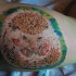 Tatuaje en el brazo,
erizo lindo, tinta de color