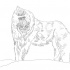 Awesome colorless baboon tattoo design