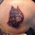 eccezionale testa doberman tatuaggio su scapola