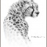Awesome grey-ink cheetah turn its back tattoo design