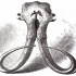 Awesome grey-ink mammoth skull with shadow tattoo design