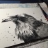 Awesome raven face in black splashes tattoo design