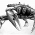Awesome realistic black-and-white crab tattoo design