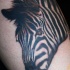 eccezionale realistico testa di zebra tatuaggio su stinco