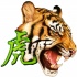Awesome screaming tiger head and green chinese hieroglyph tattoo design